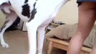 سكسي بنت ينيكها كلب هوت