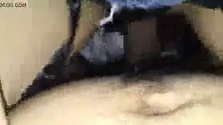 تويتر مخفي مثير