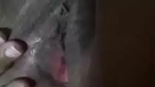 الهرة مزدوجة بري الآسيوية الهواة