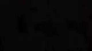 مثقوب الهرة مرن نائب الرئيس مرتين