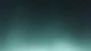 الحجرات المغلقة الهرة الكبيرة الكورية