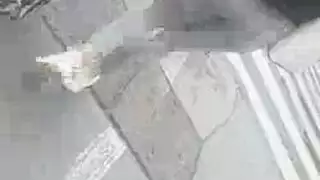 مصلح عامة الحلمة زلة