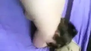 ديوث مقيد وزوجته تتناك امامه مترجم