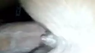 عخحج