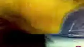 الاباحيه المثليه