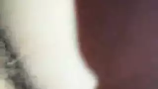 سكس الحمير مع النساء