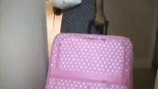 عرض تعري كامل من غريبة مغرية