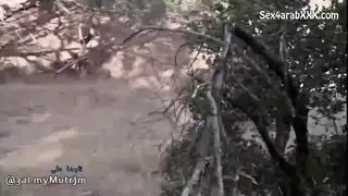 الجمال النائم يتوق لقضيب كبير
