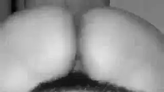 جراي جري
