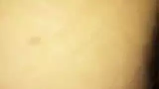 الهرة الكبيرة تحنيط مبلل