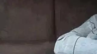 فيراري لاتينا