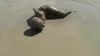 نكها ف الغساله