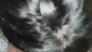 نيك مصرى في المزرع