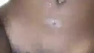 خشب الأبنوس الجنس الشرجي الثدي الحمام