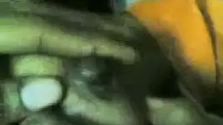 جهاز التناسلي