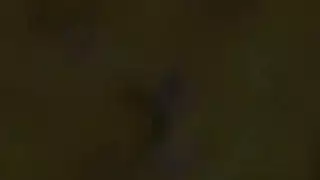 تفنس سخونه ستار