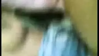 تزاوج حيواني في الوحشية