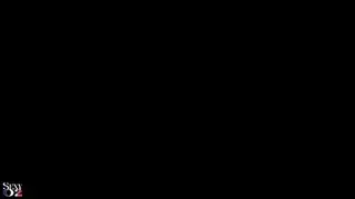 دمية أحزمة الرباط الحمار الكبير