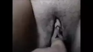 طير عربي كبير