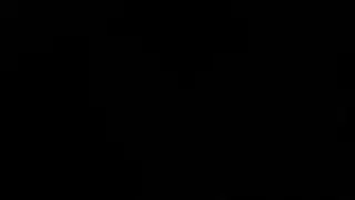 عطلة أمستردام الديك ضخمة