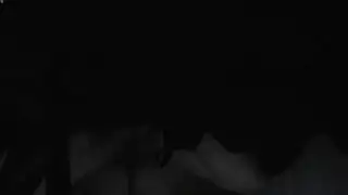 سينشي و