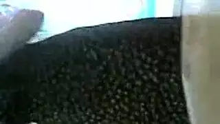 فتاة مصرية في التنجو