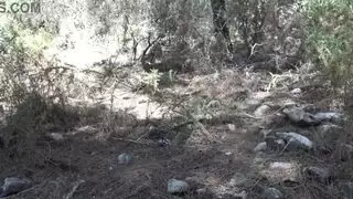 ليالت دوخل في الجزائر