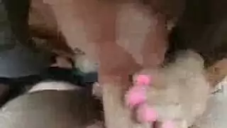 تدليكتد