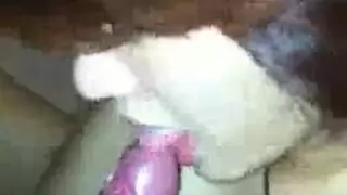 في الهواء الطلق بي بي سي الوحش الديك