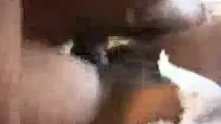 زنوج مع بنت جميلاة