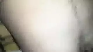 كارولا