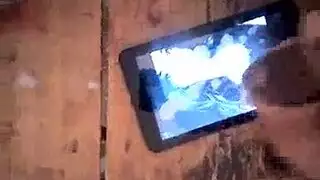 عير اسود كبير ديوس أسود