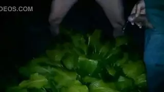 تيتة لخريق