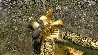 ضراط سكس طيز
