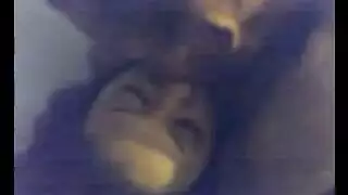 ماي خفيف مع كلب
