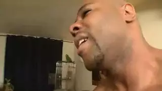 لاني برايس