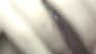 شابة صغيرة رطبة وتأخذ قضيب حيوان