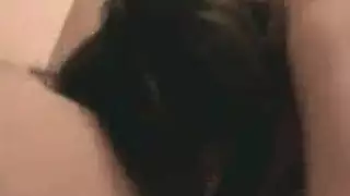 موزبع