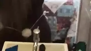 أرنب غابة قزمة
