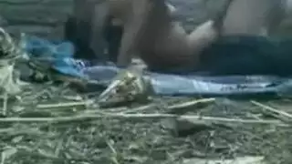 الزريب