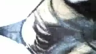 كيفيه تبعبيص في كسي
