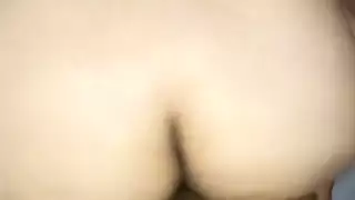 الجلوس قرنية * *
