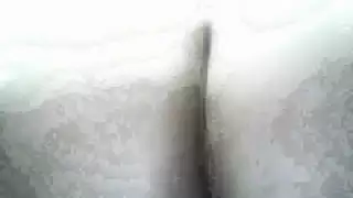 التركية