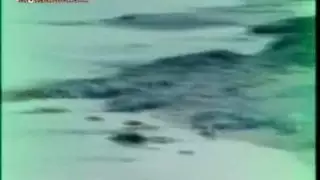 حجم كبير