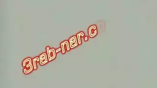الكلبة العربية
