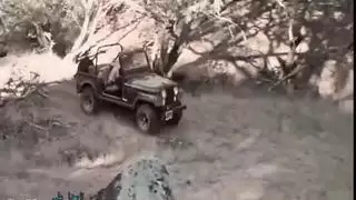 كلاسيكي قديم الجميلة النائمة خوخة