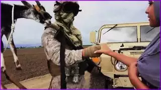 جولة في الغنائم يتفاوض الجنود الأمريكيون في الشرق الأوسط على الجنس باستخدام الماعز كدفع
