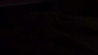 أمسية طرية في شركة الأخت الموحدة ريدهوت فوكس