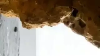 تونسية فاجرة تمص زب صديقها في الغار حتى القذف