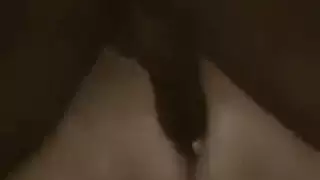 هي مثل في الحمار العربي